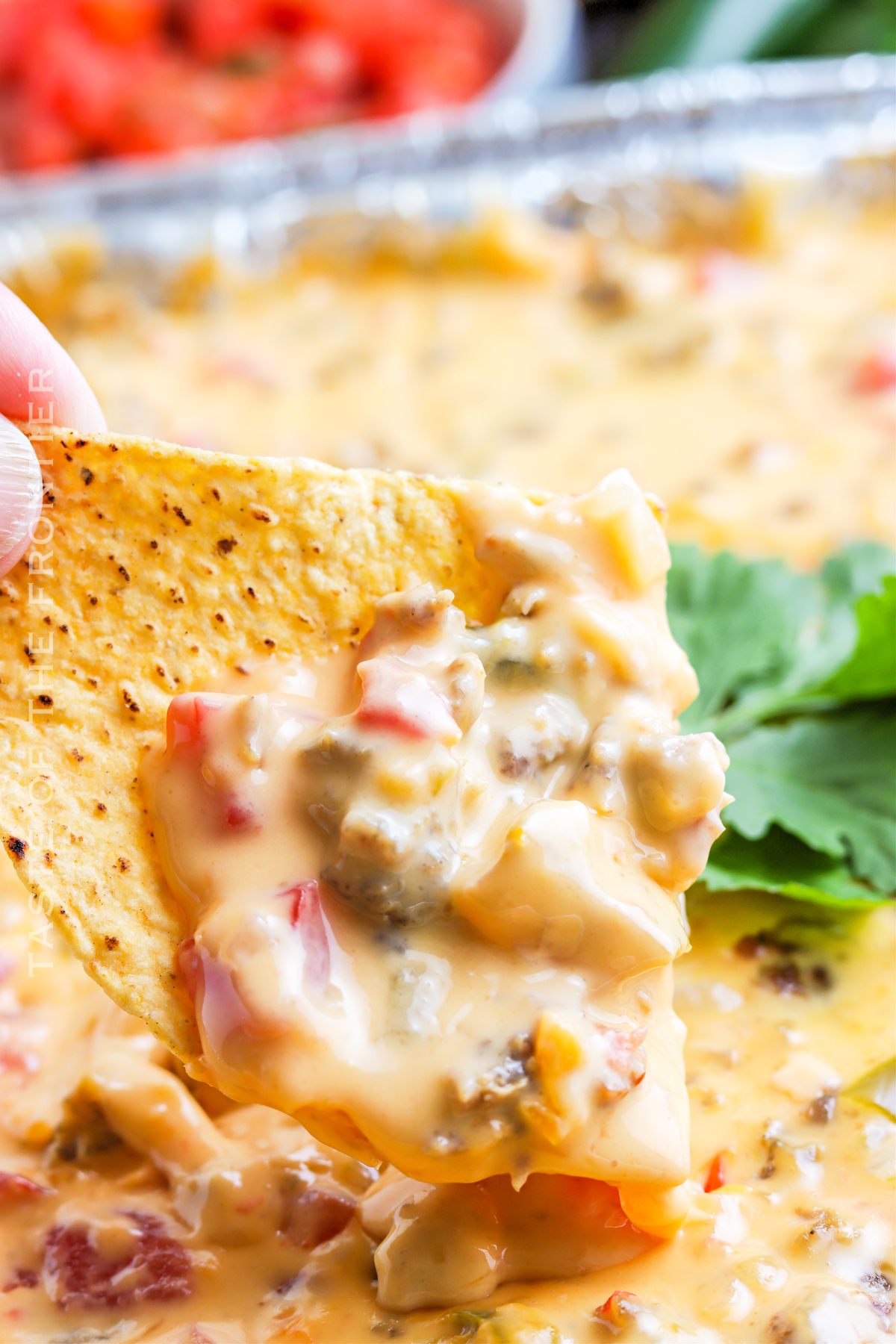 Smoked Cheese Dip