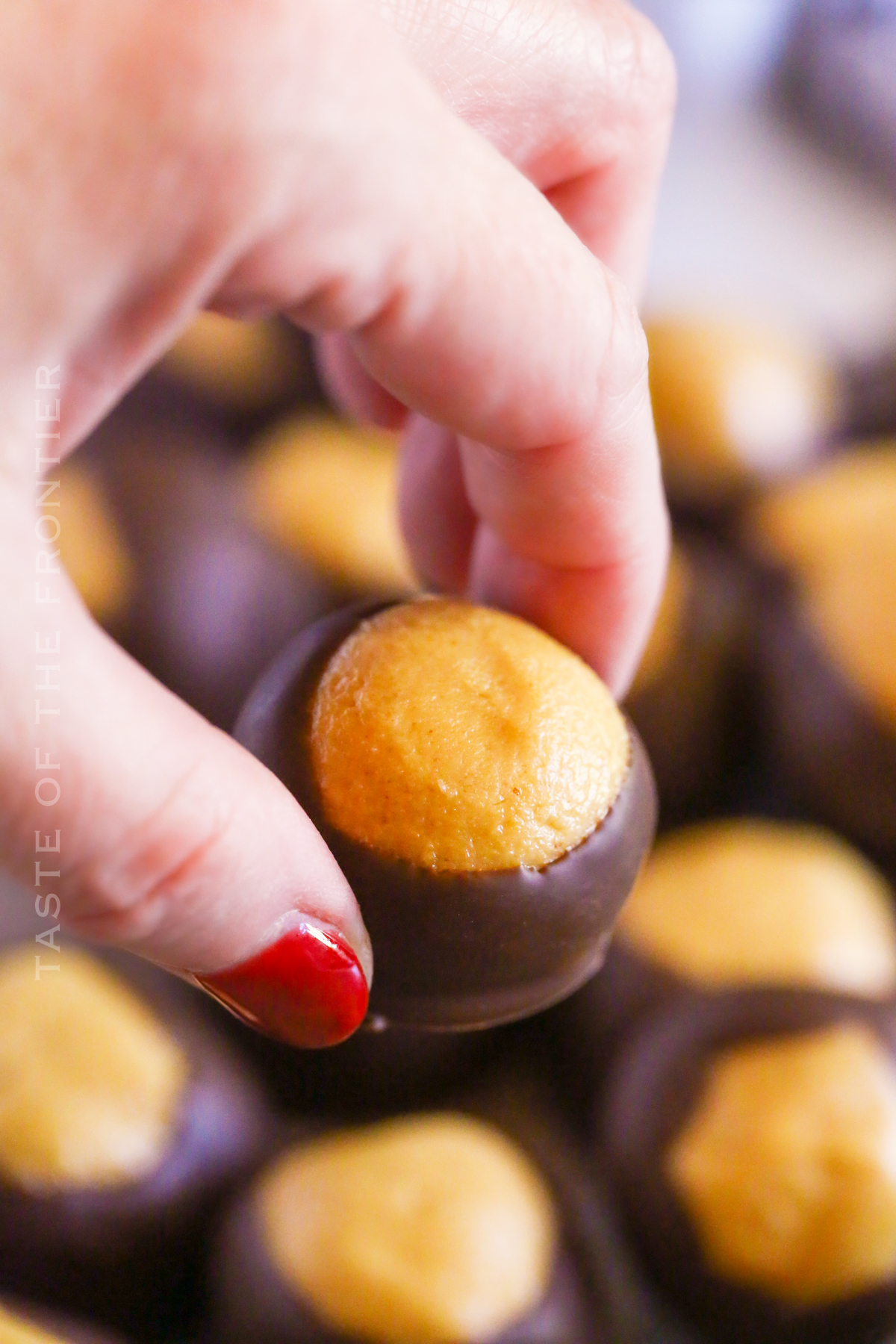 holiday Buckeye dessert