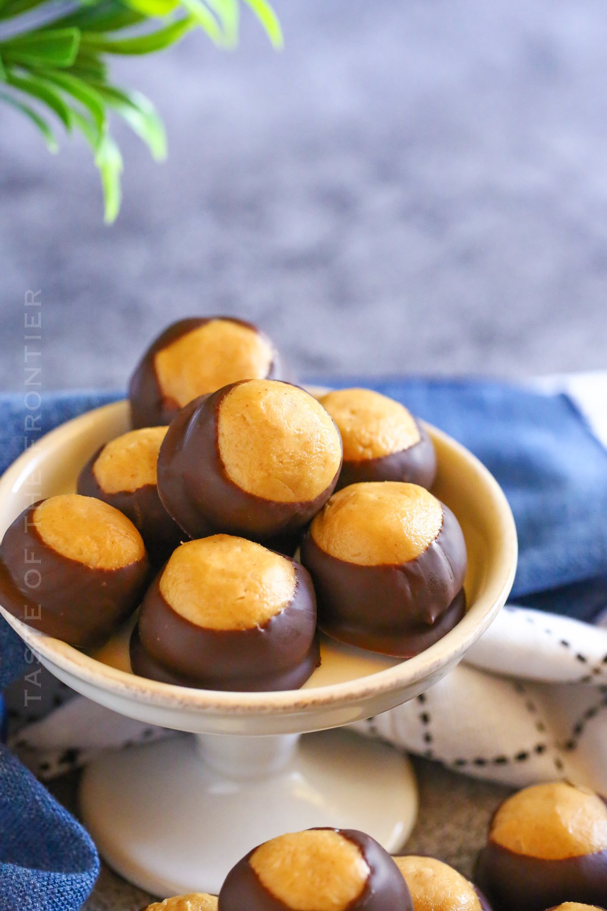 no bake peanut butter balls with chocolate