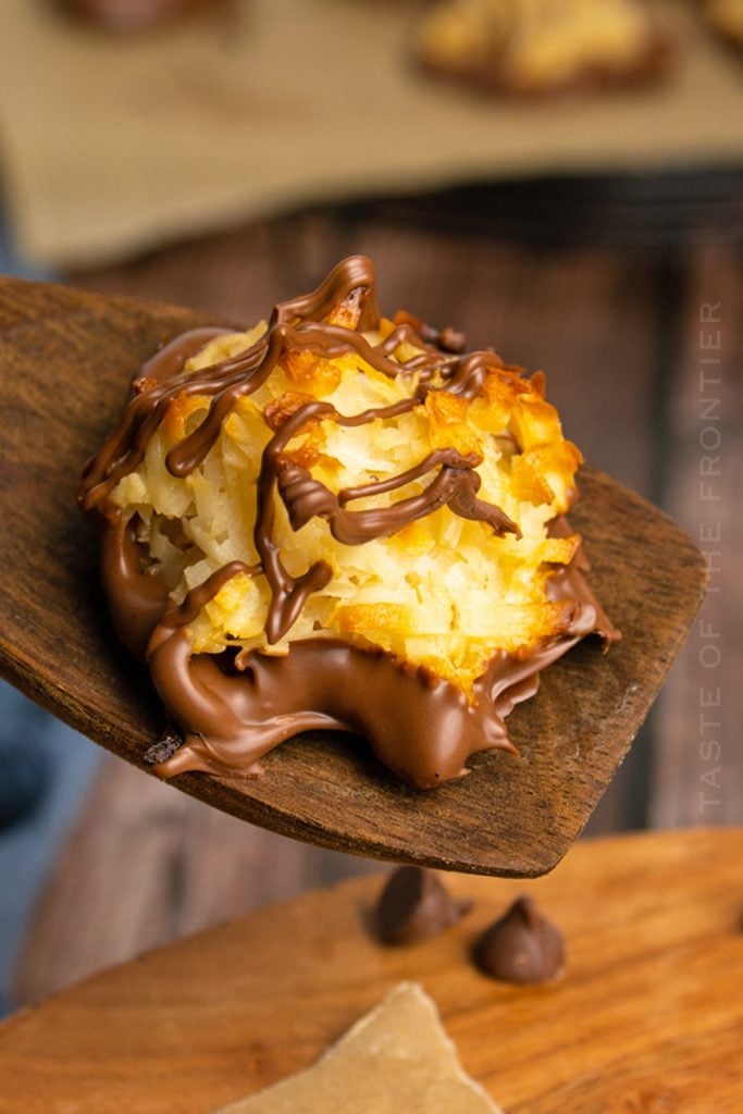 Chocolate Coconut Macaroons