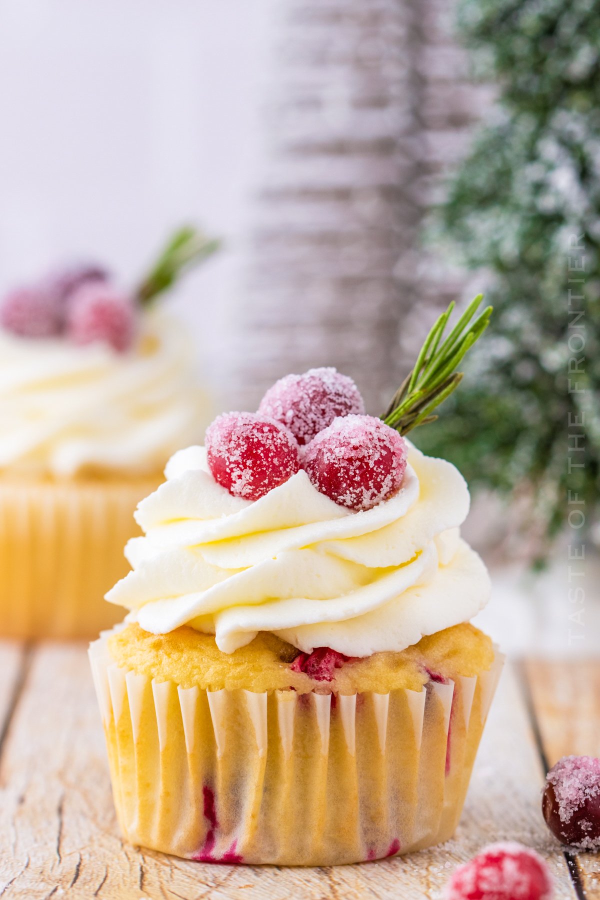 Cranberry Cupcakes