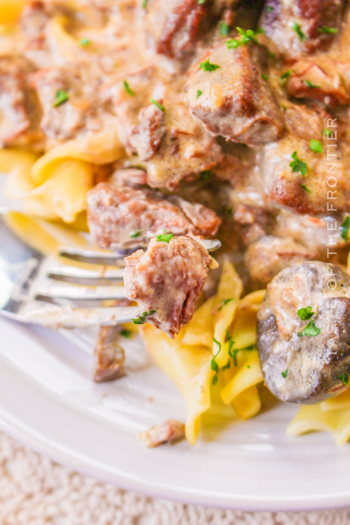 Crock Pot Beef Stroganoff