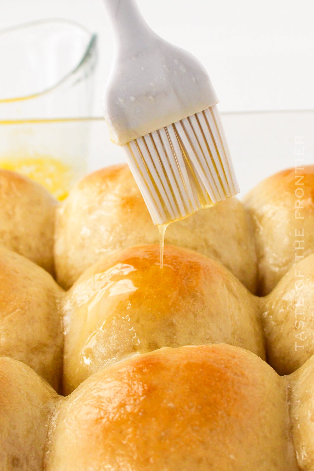 No-Knead Dinner Rolls