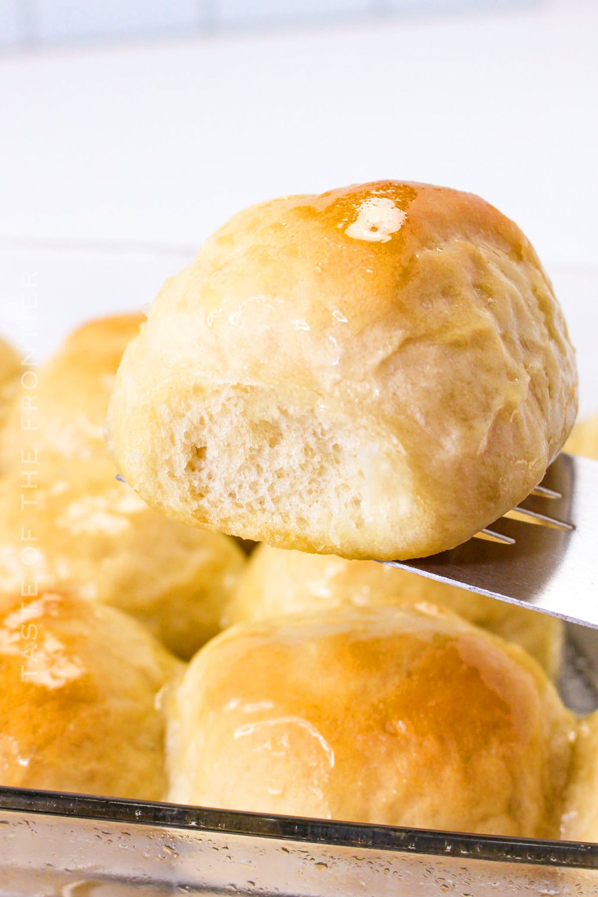 holiday dinner rolls