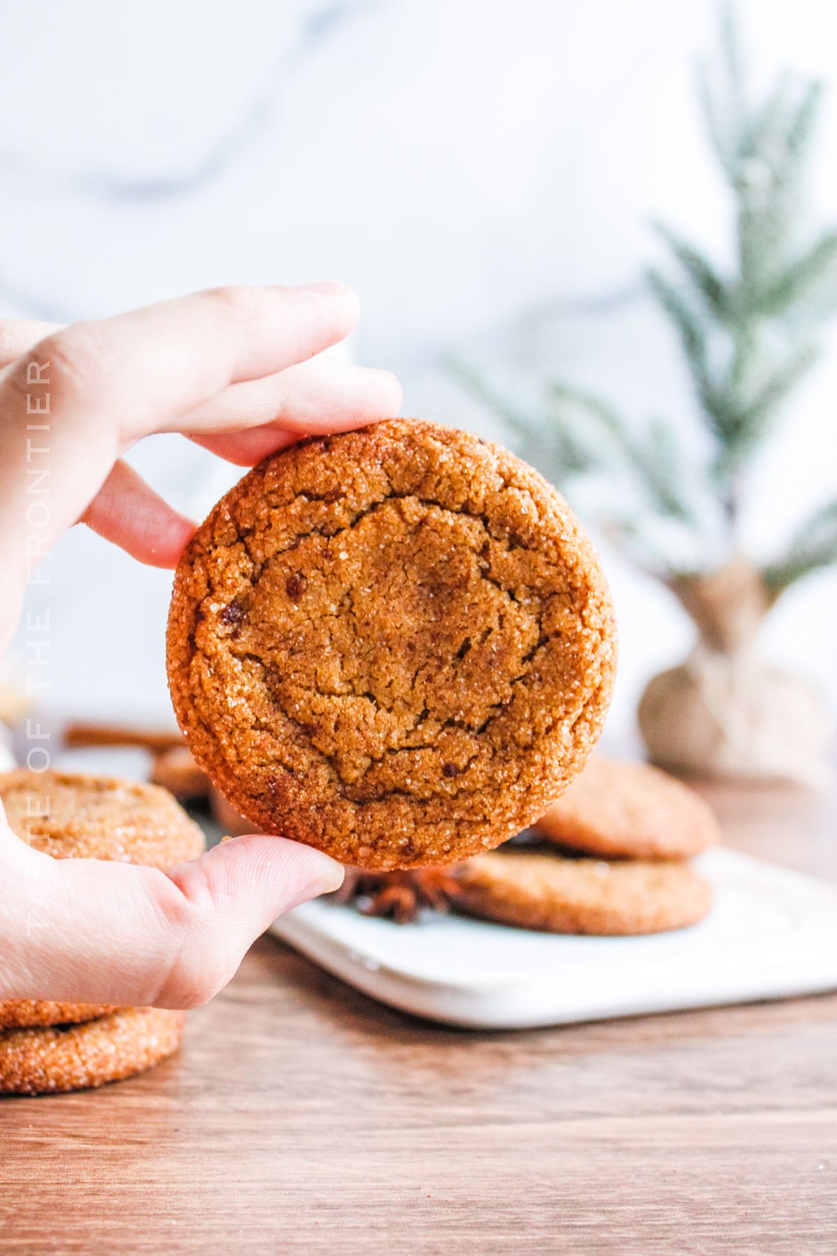 fall holiday cookies