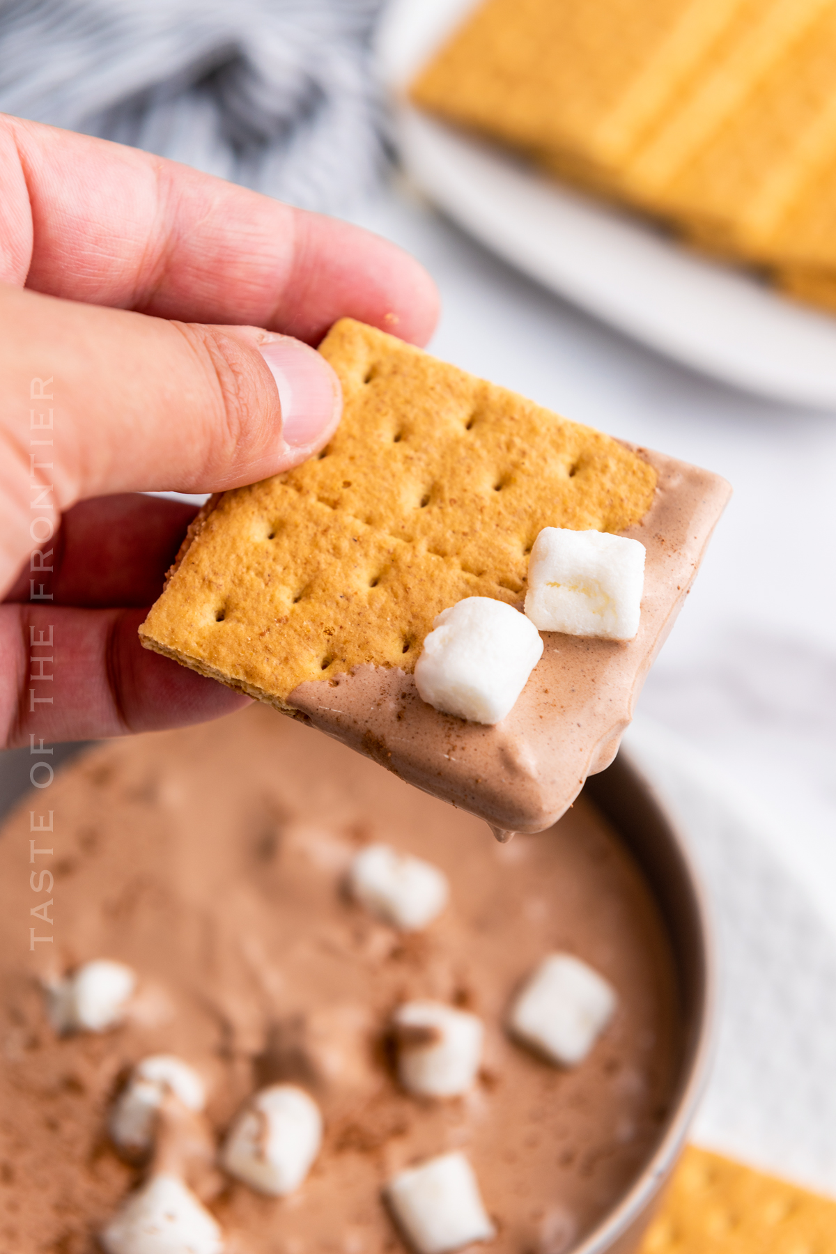 marshmallow chocolate dip