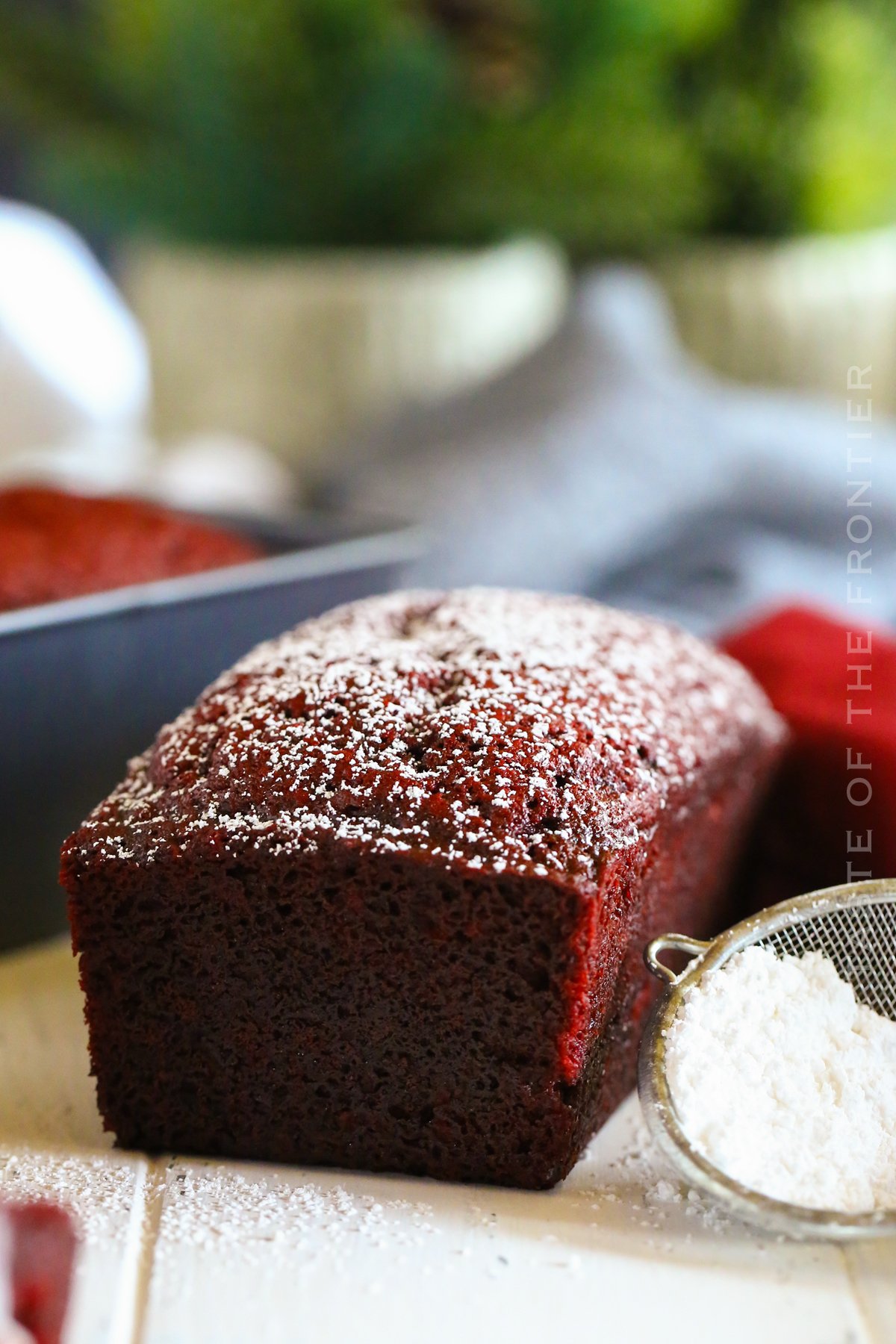 Chocolate Chip Cake for Christmas