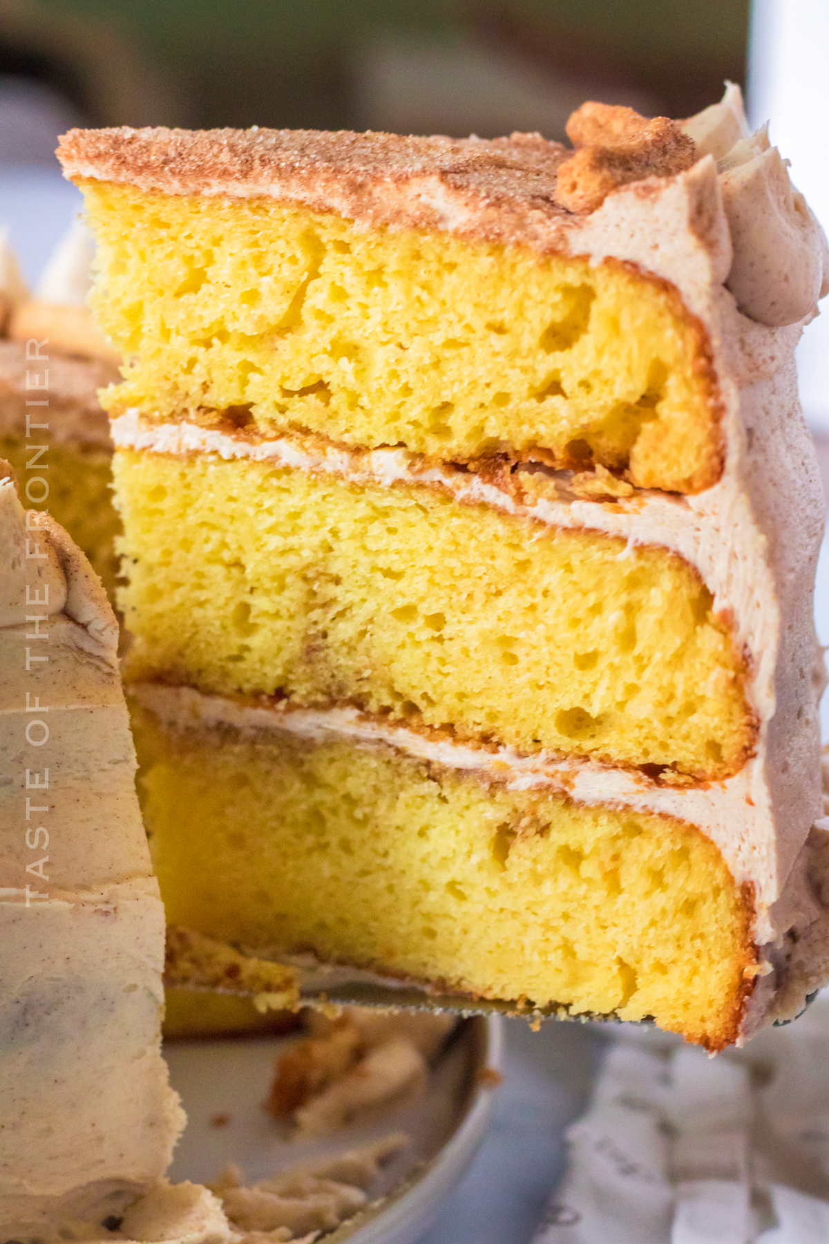 Snickerdoodle Cake