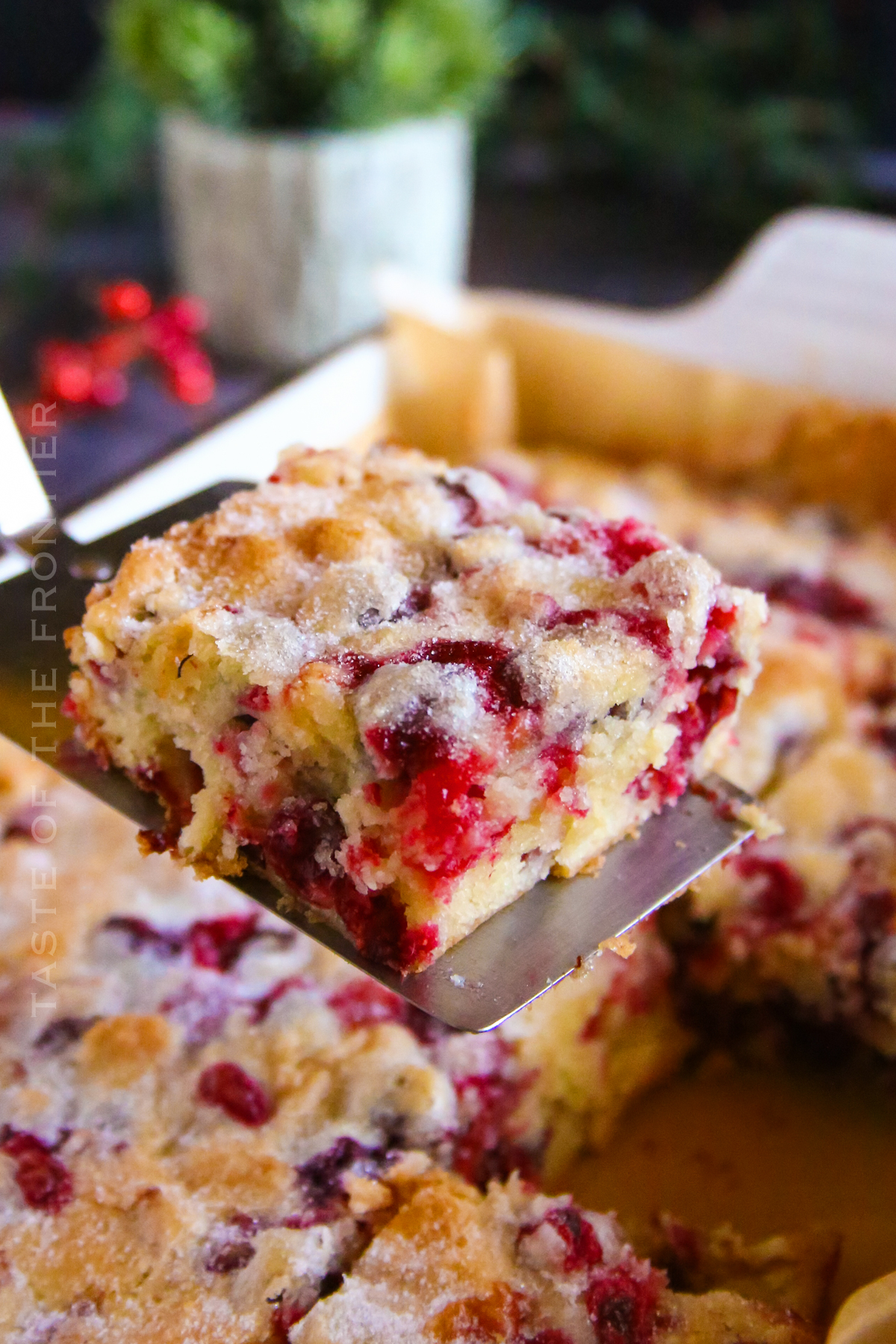 Cranberry Cake