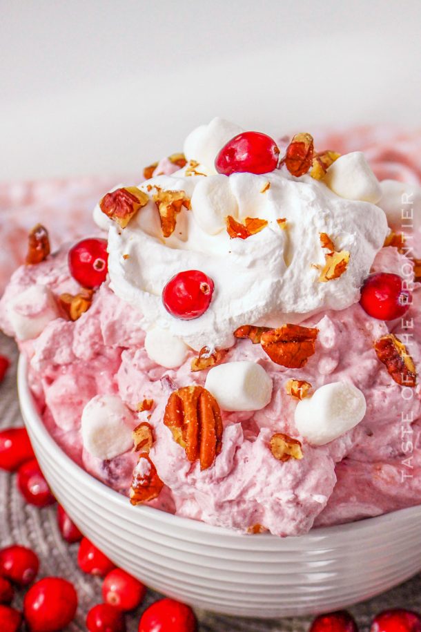 Cranberry Salad Recipe - Yummi Haus