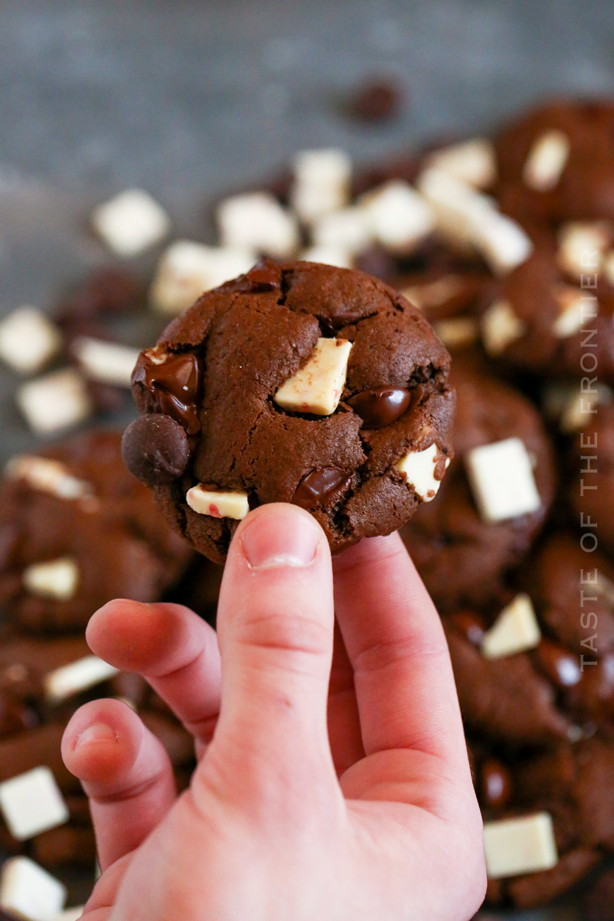 Peppermint Cookies