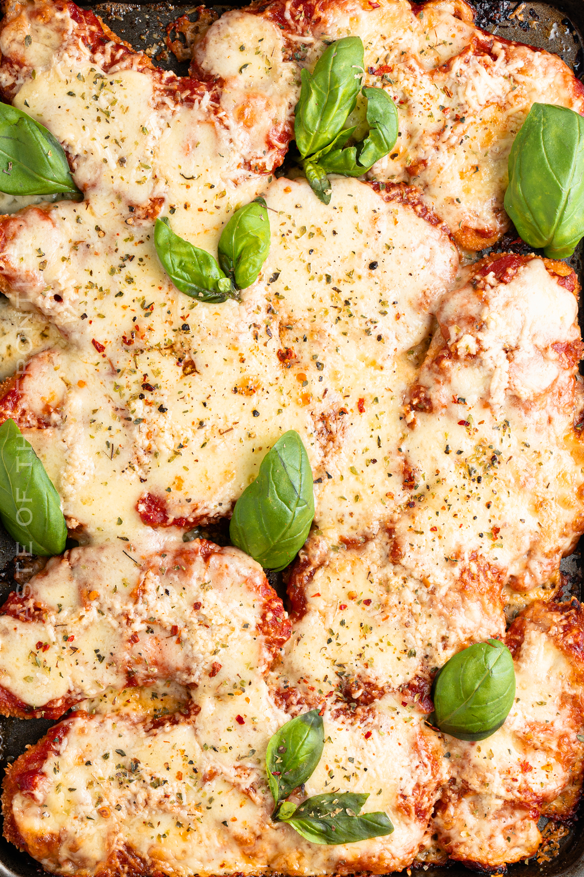 best Chicken Parmesan recipe