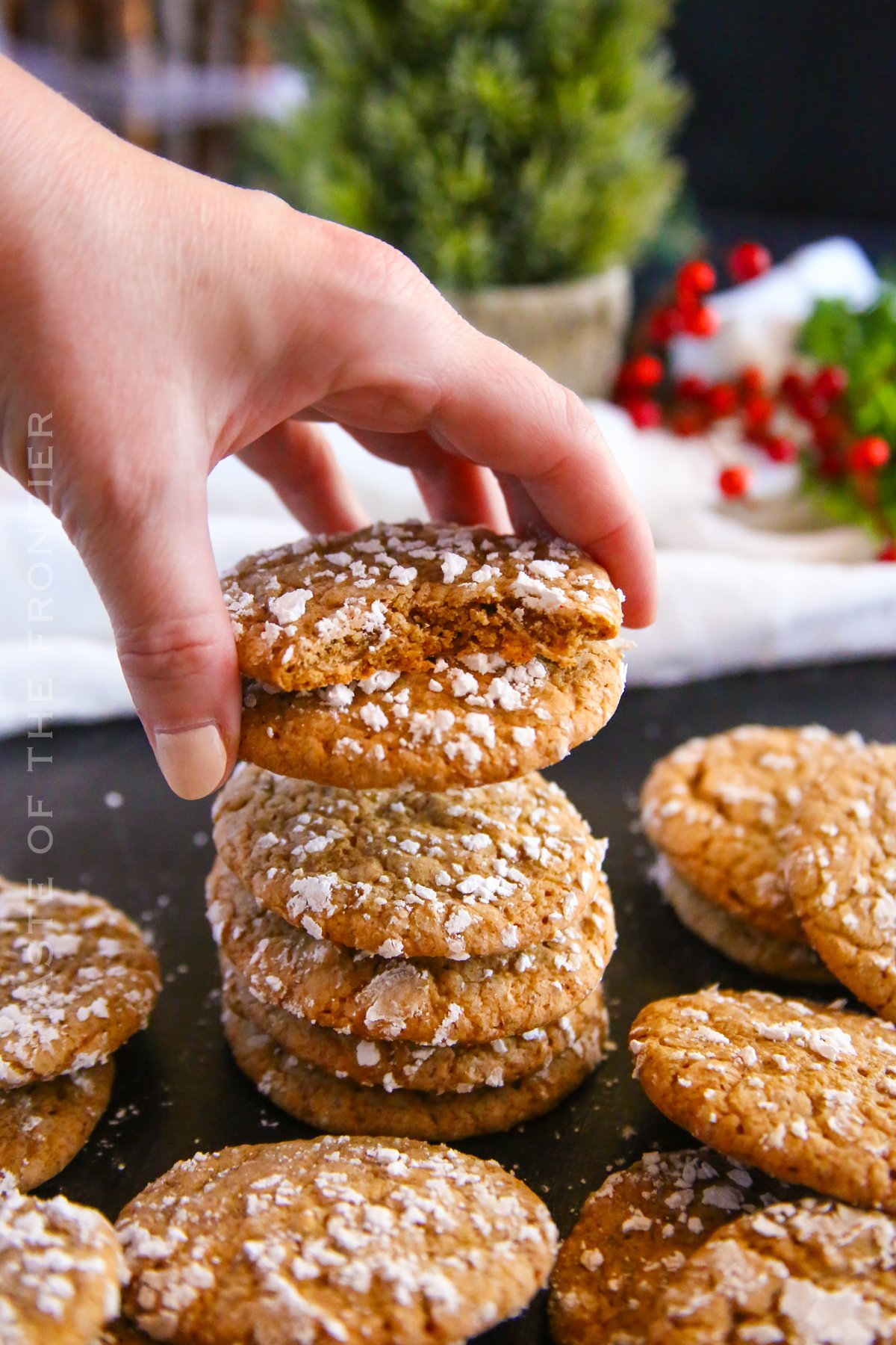 Recipe for Gingerbread Crinkle Cookies