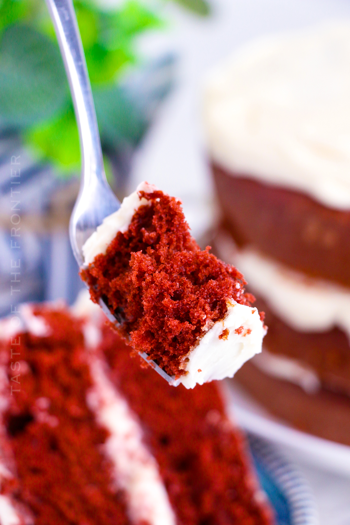 homemade Red Velvet Cake