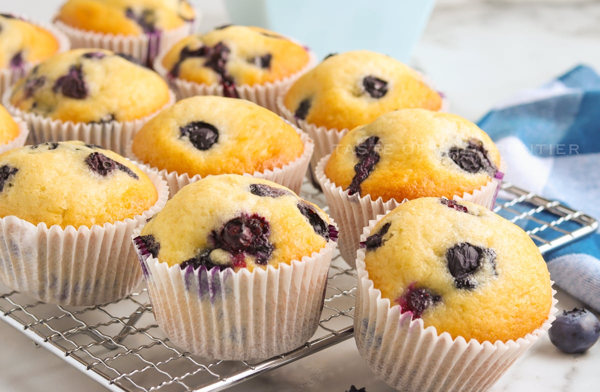 fluffy Blueberry Muffins