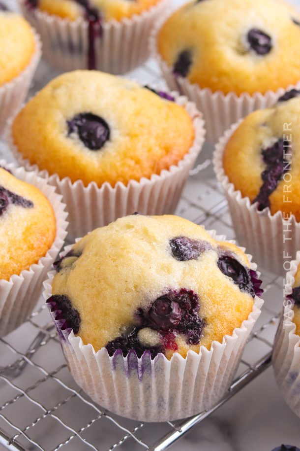 Blueberry Muffins Recipe Taste of the Frontier