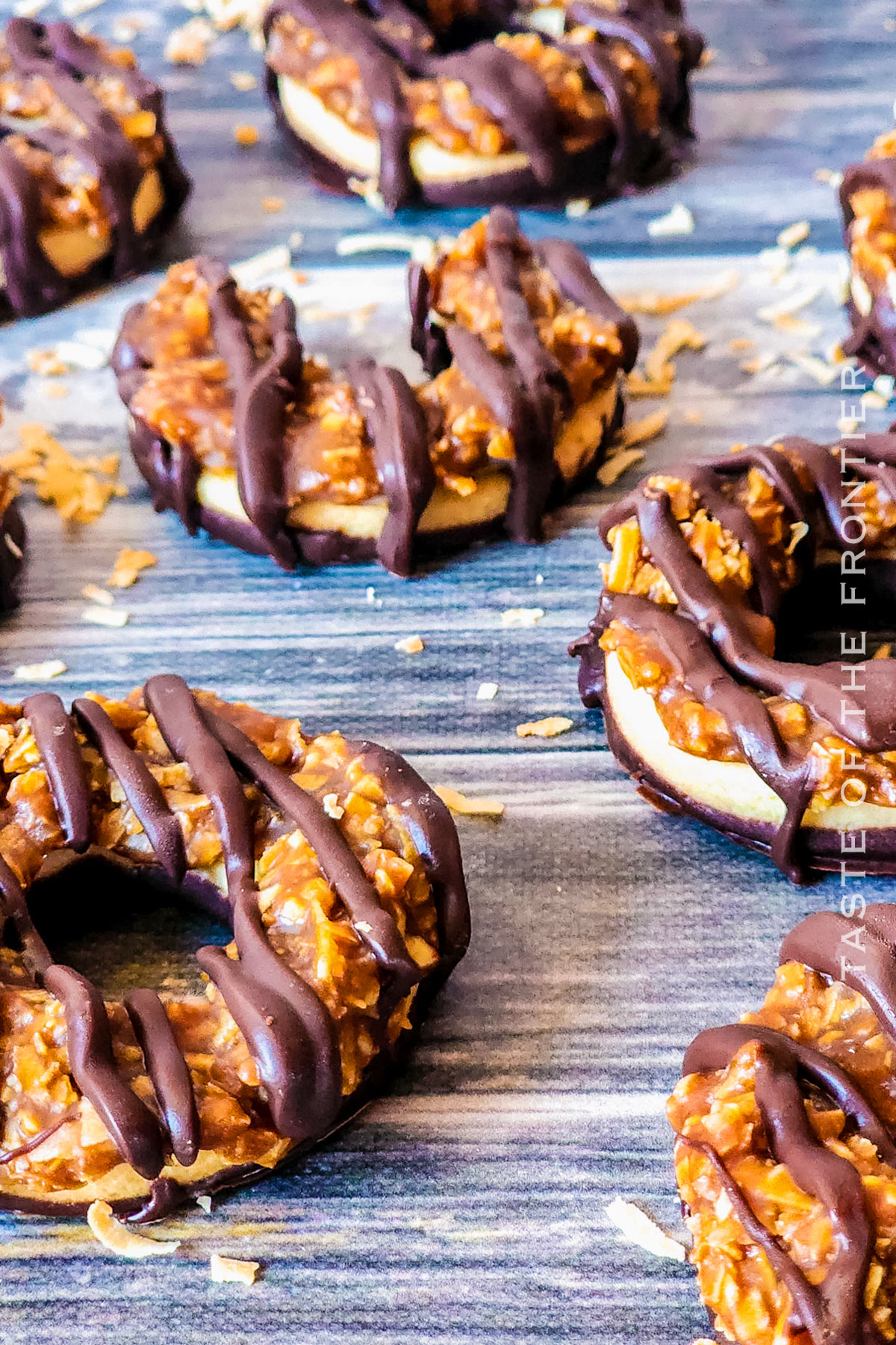 chocolate coconut cookies