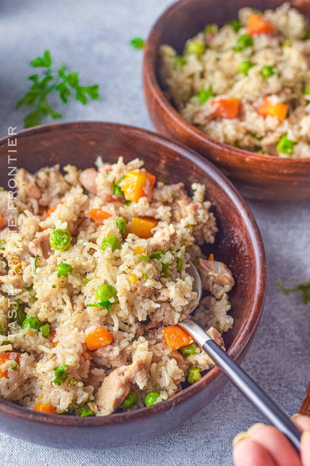 Instant Pot Chicken and Rice