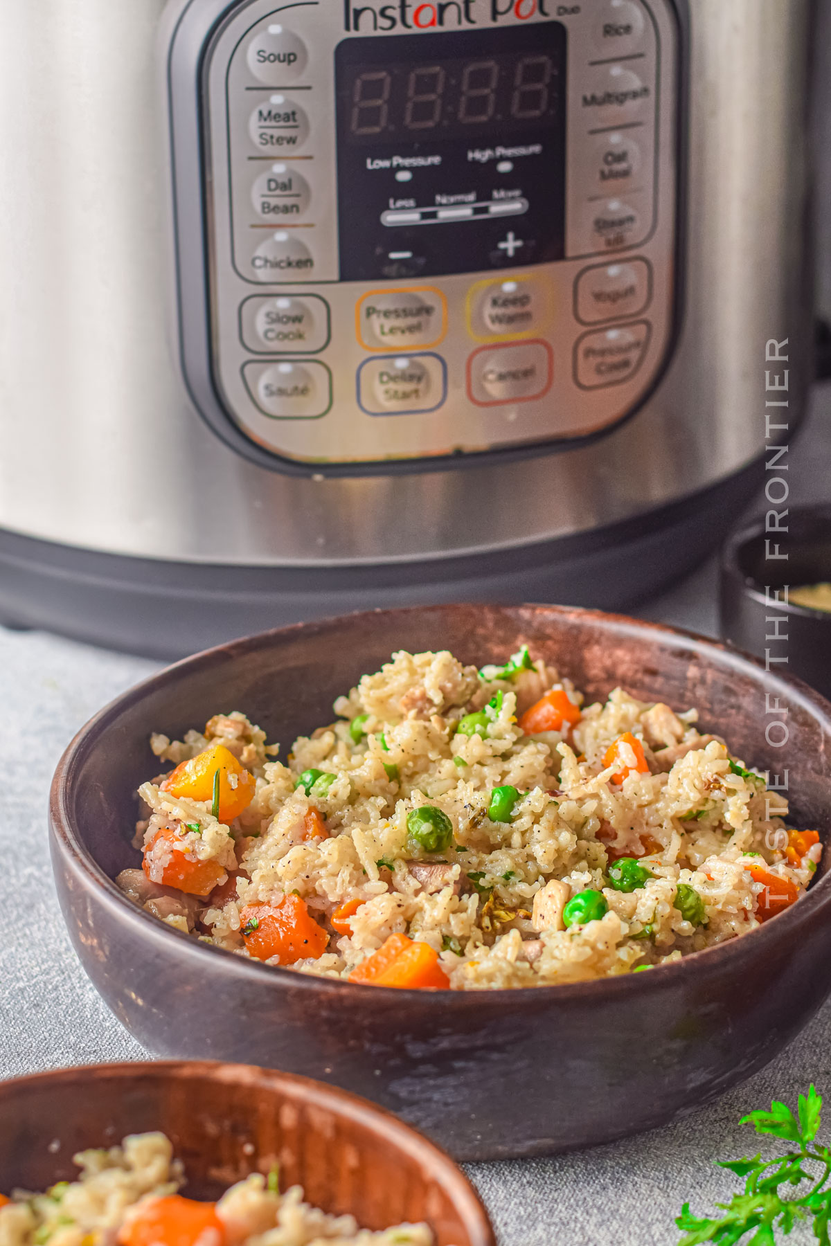 Pressure Cooker Chicken and Rice