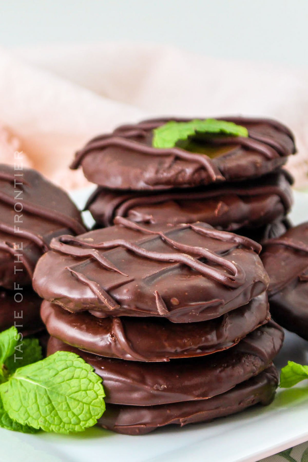 the best Copycat Thin Mint Cookies