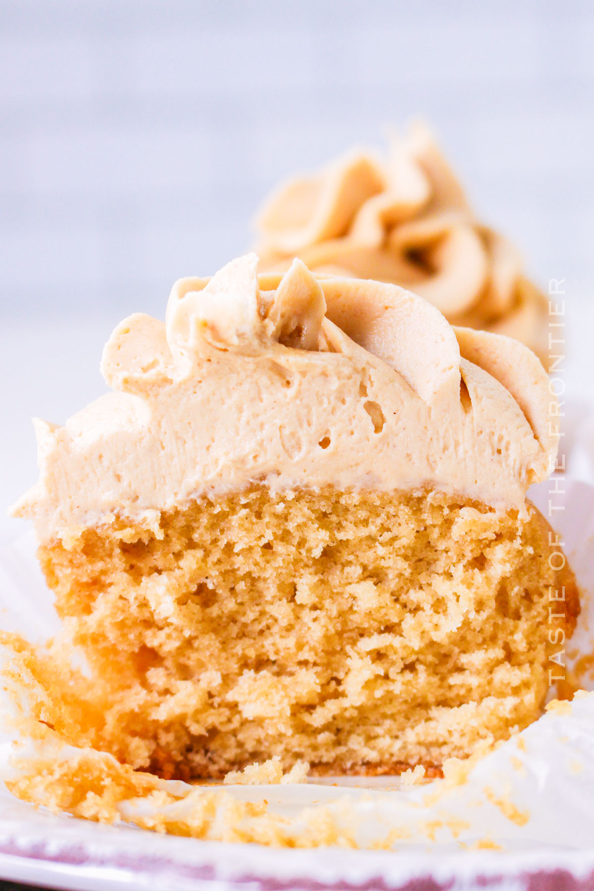 Peanut Butter Cupcakes with Peanut Butter Frosting