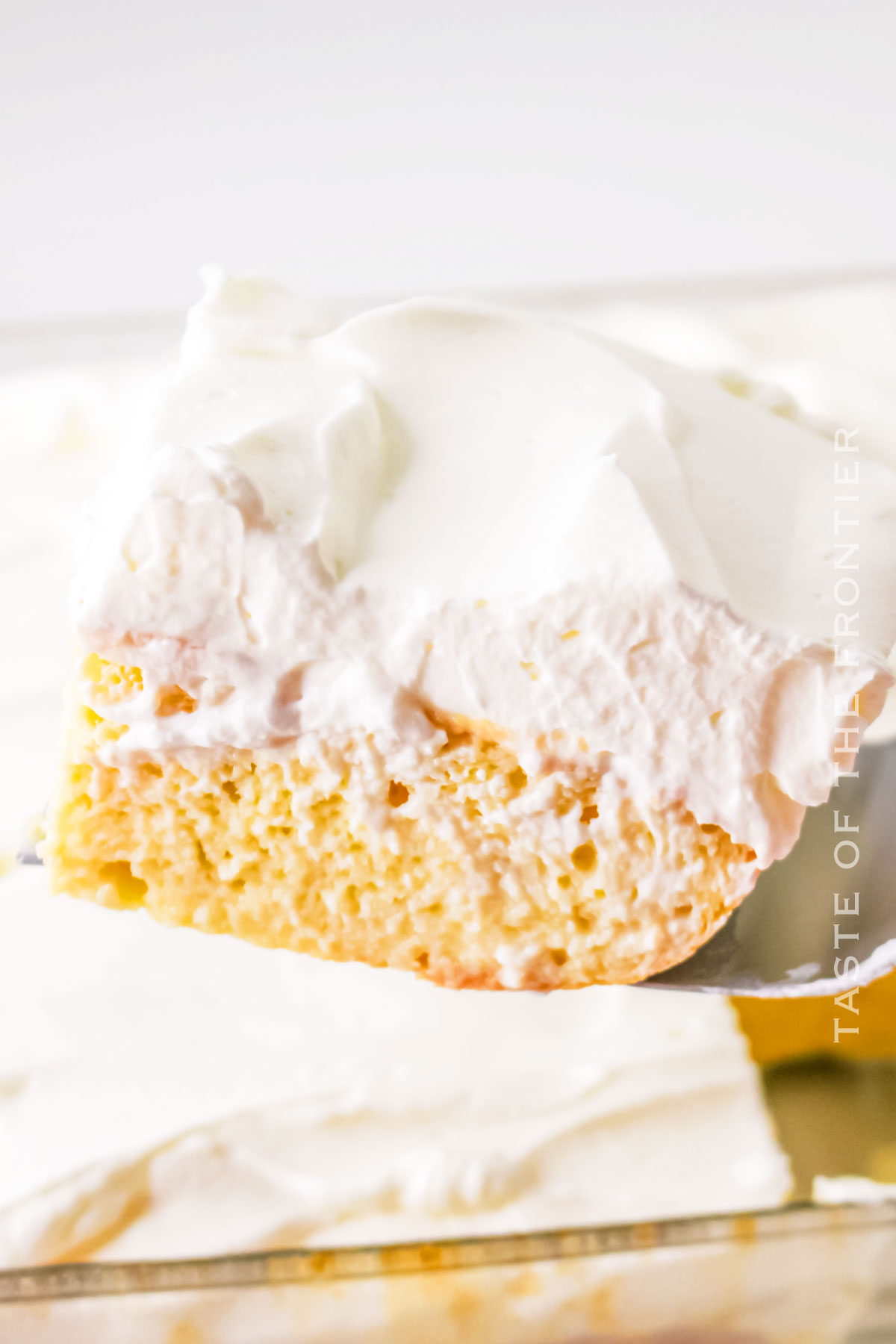 slice of Tres Leches Cake