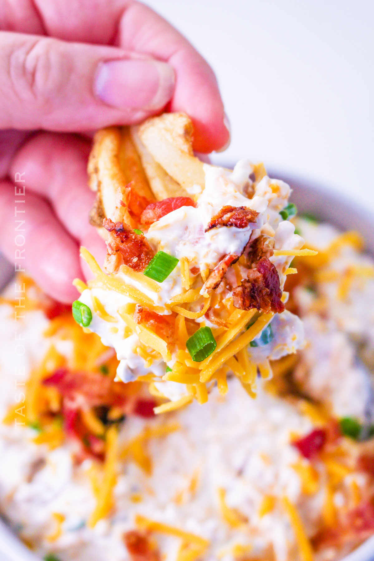 The Best Loaded Baked Potato Dip