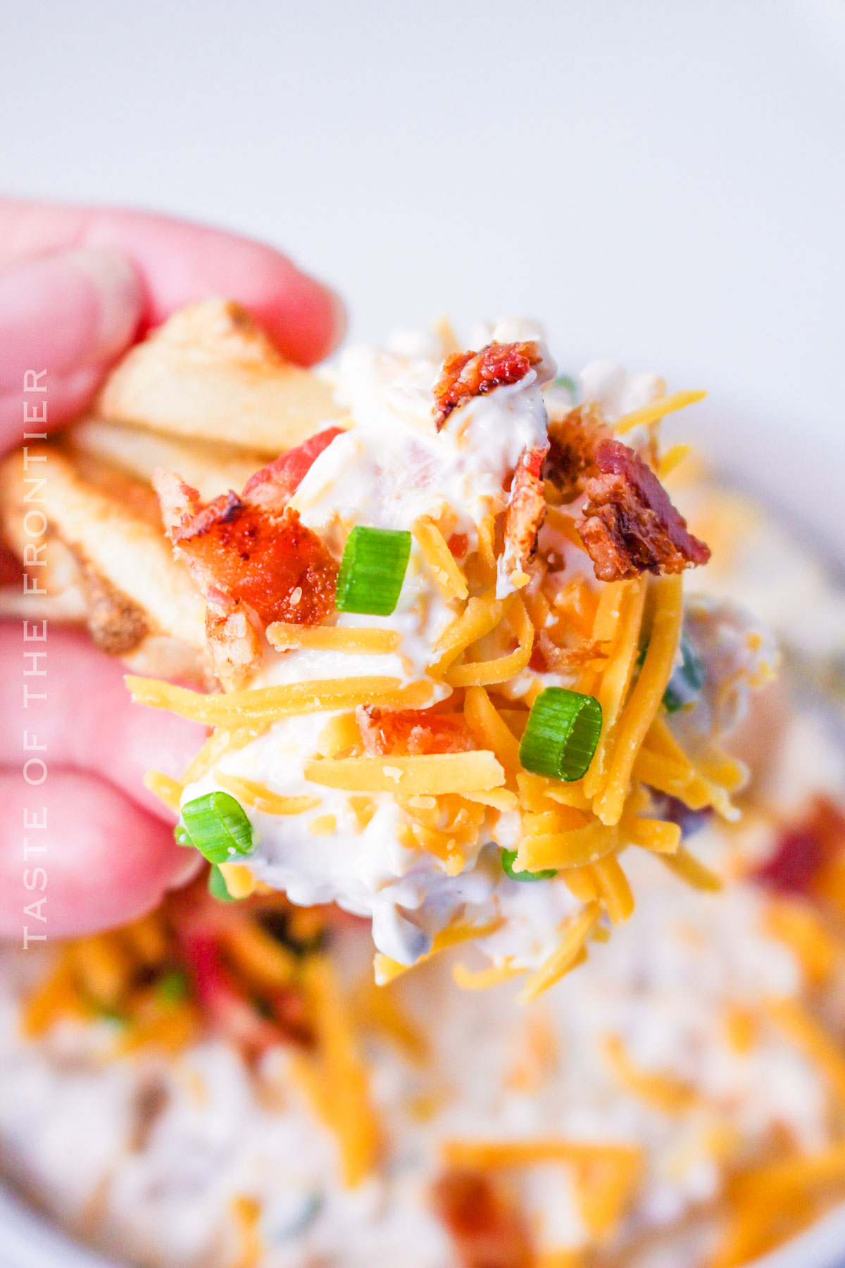 Recipe for Loaded Baked Potato Dip