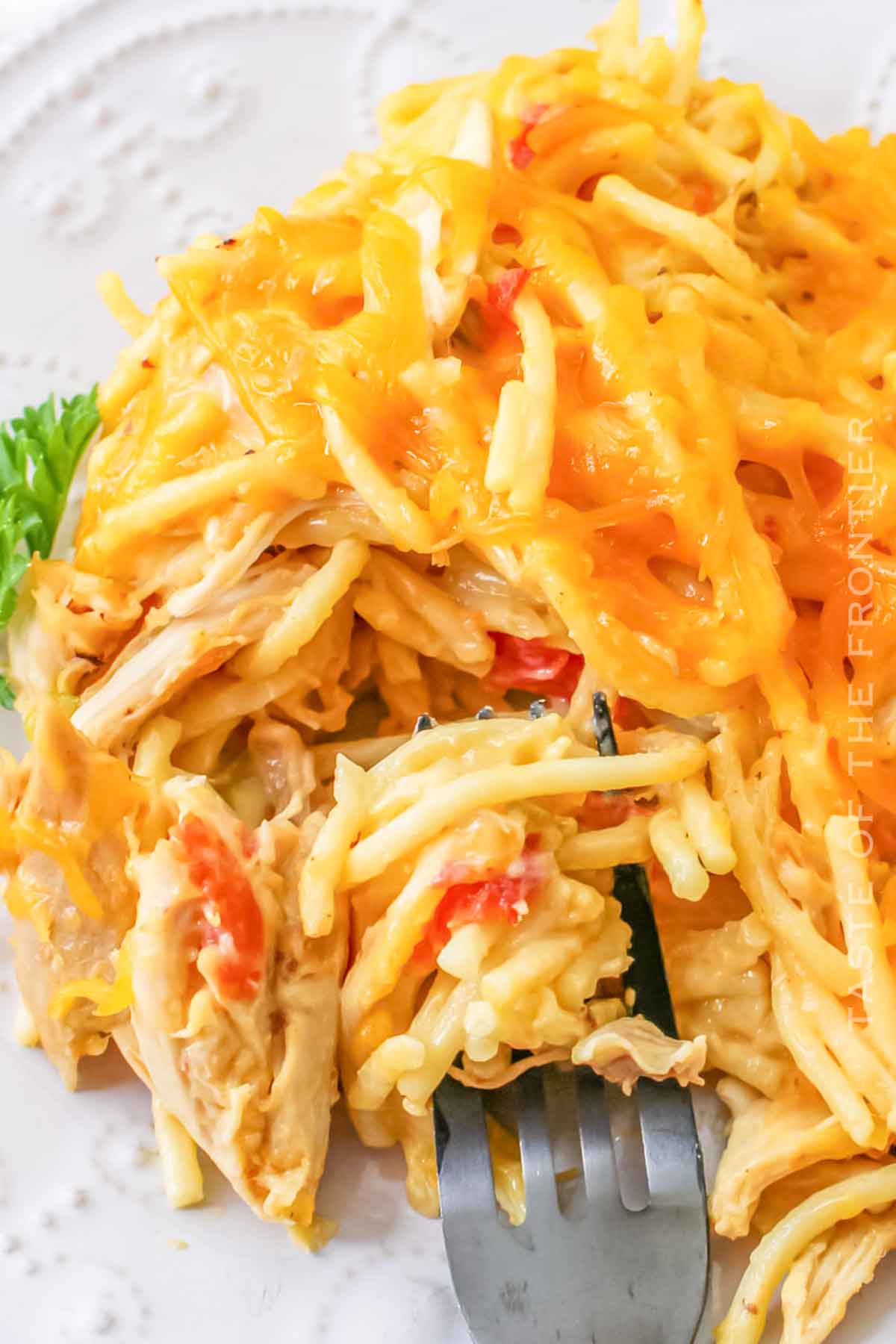 Chicken Spaghetti with cheese