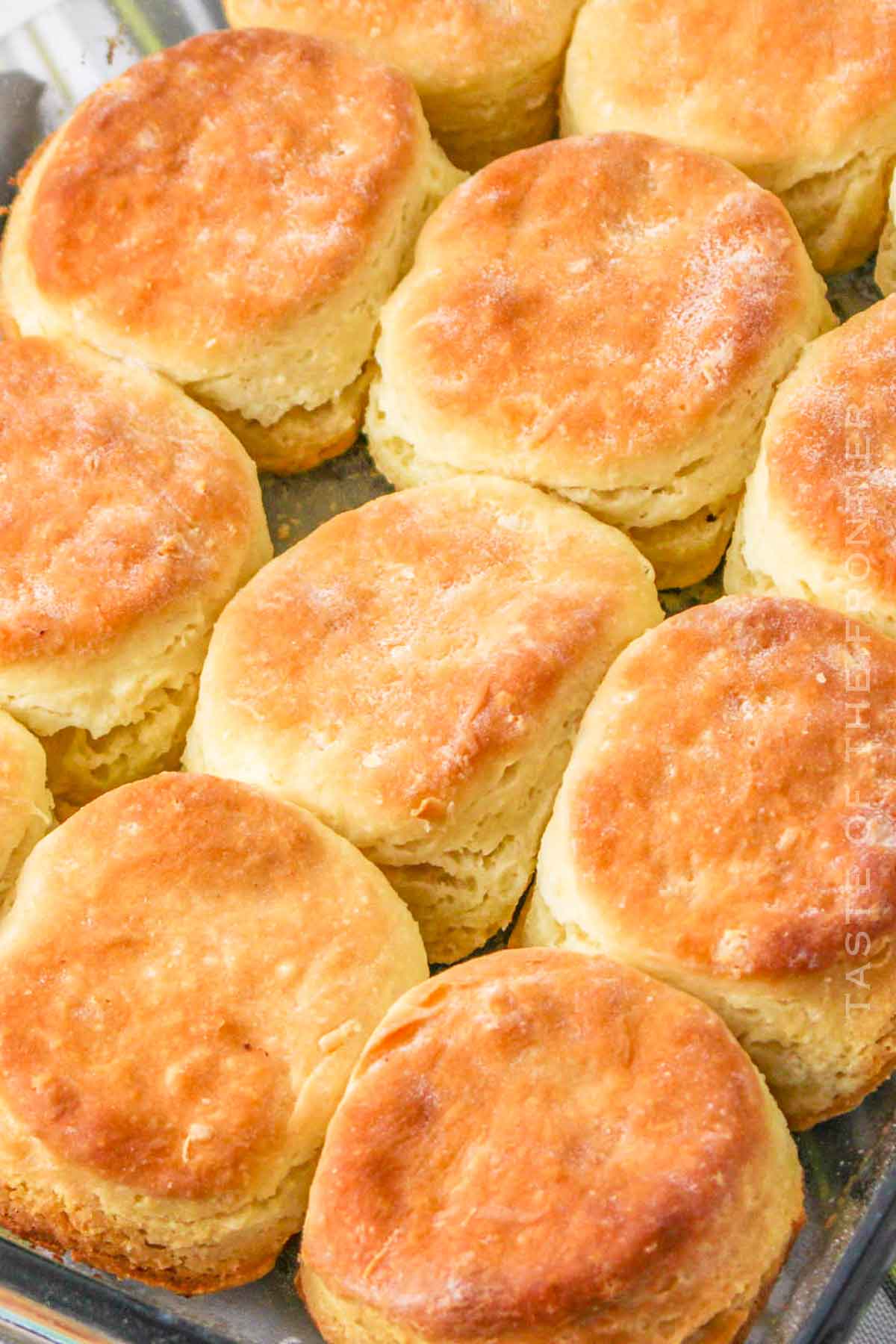 baked biscuits