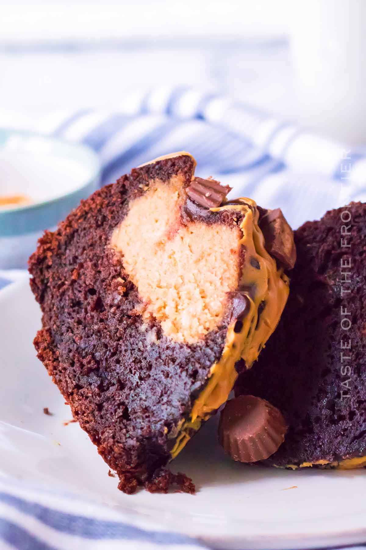 chocolate cake with chocolate ganache