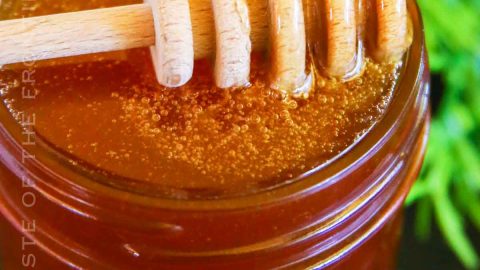 can you smoke honey in a vape Colony Control: Smoke or Vape?
