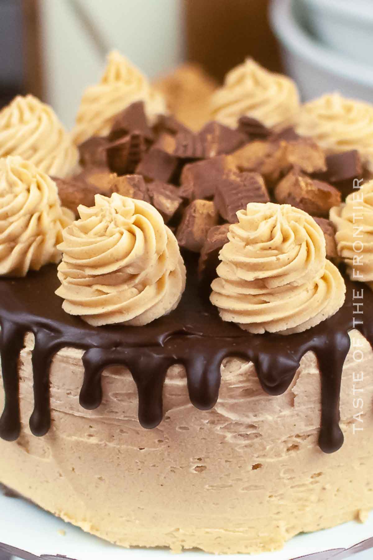Chocolate Cake with Peanut Butter Frosting