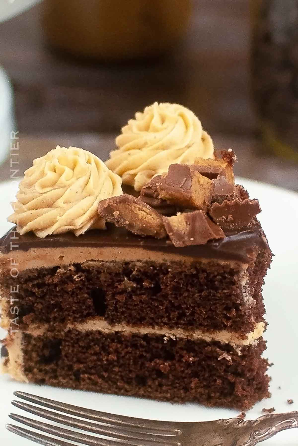 slice of Chocolate Cake with Peanut Butter Frosting