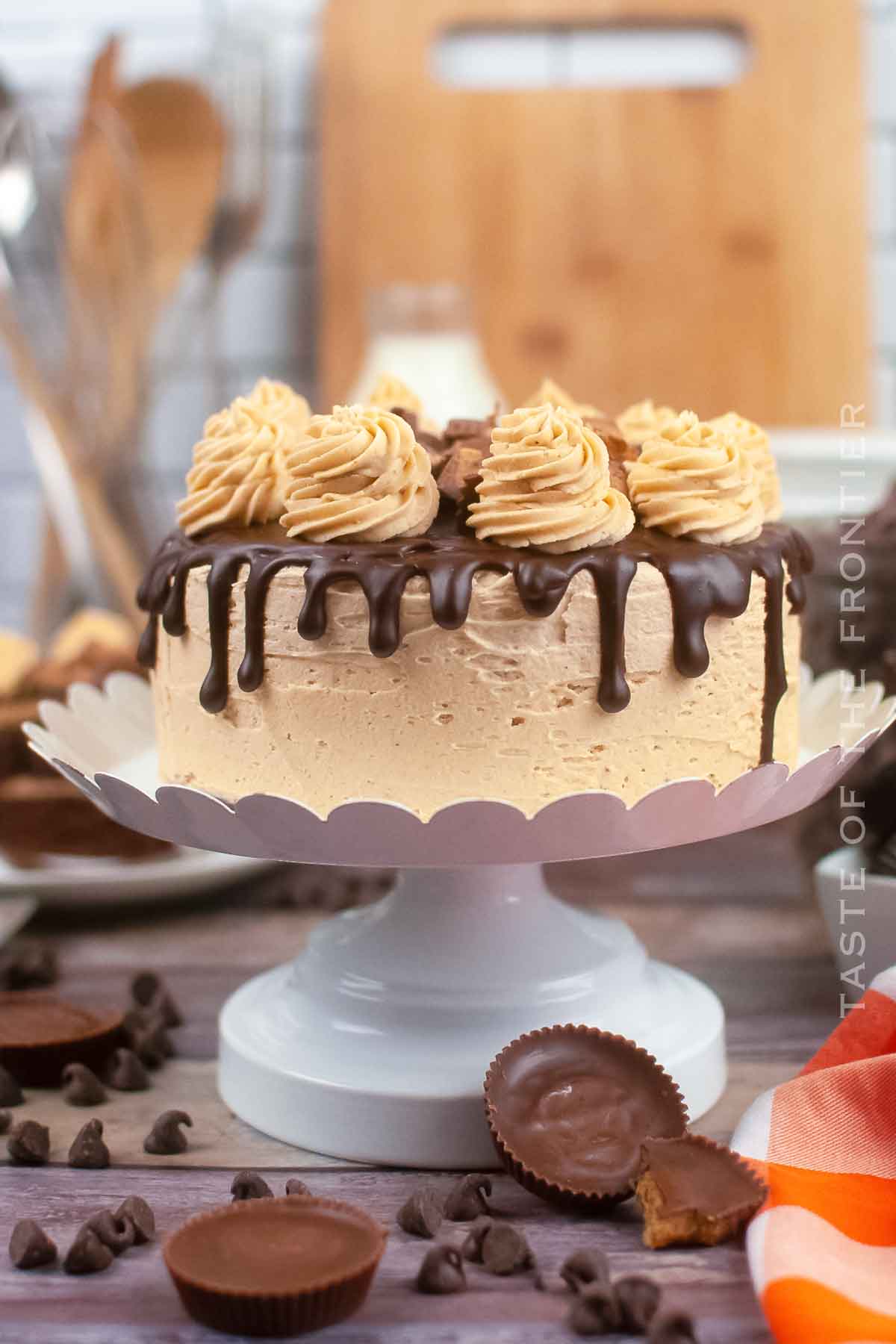 Chocolate 2-layer cake