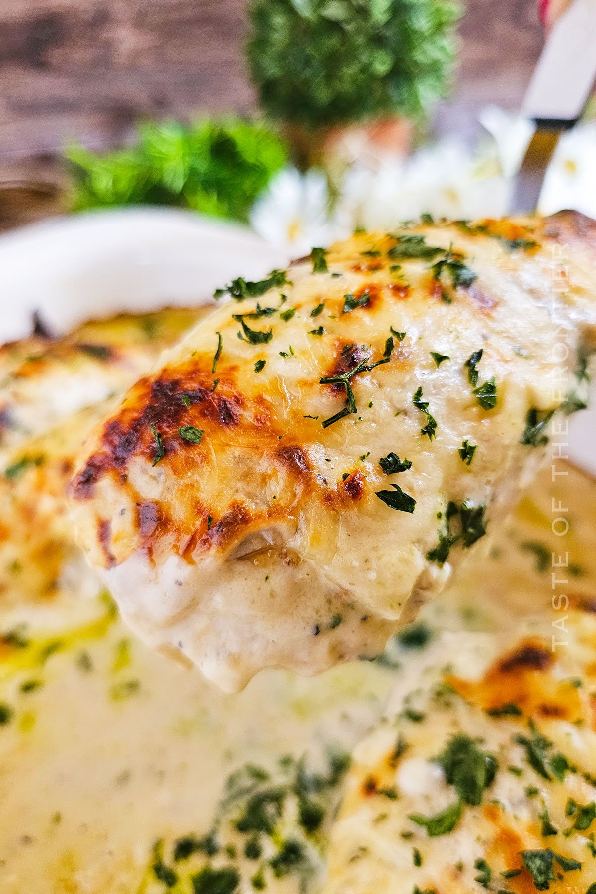 cheesy mushroom chicken