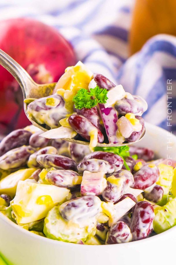 Kidney Bean Salad Recipe Taste of the Frontier