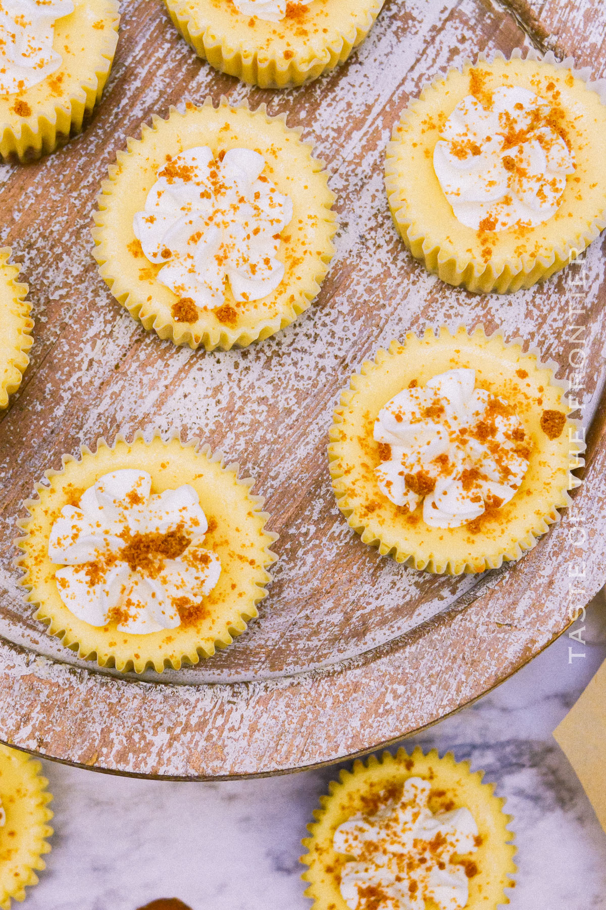 Mini Biscoff Cheesecake