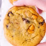 Butterscotch Chocolate Chip Cookies