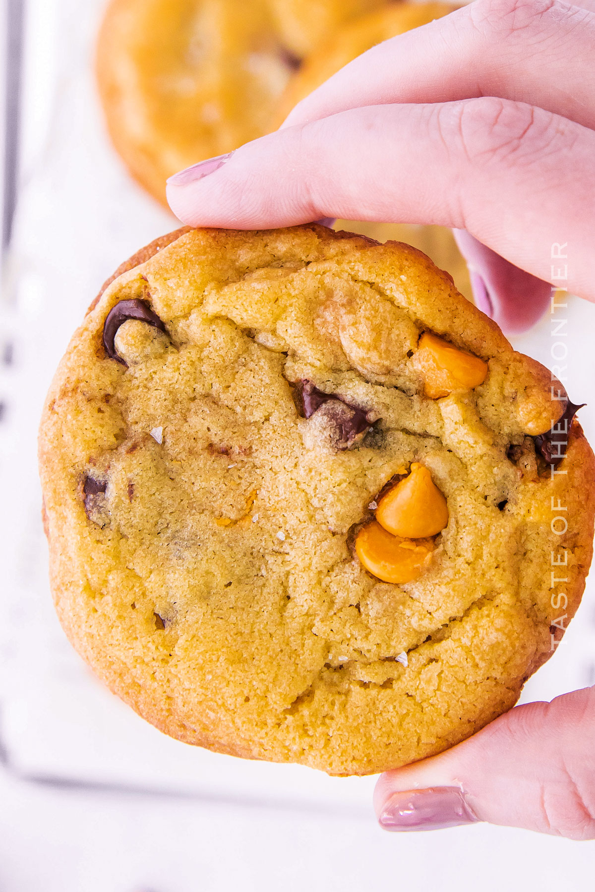 Butterscotch Chocolate Chip Cookies