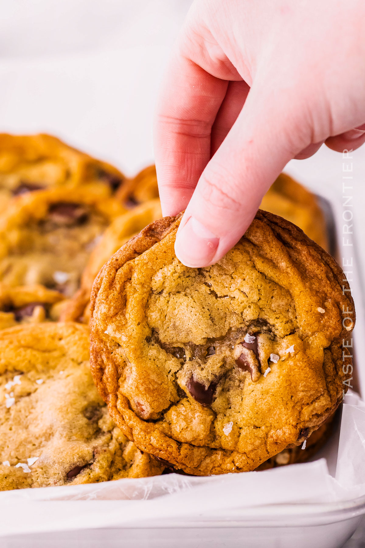 Pretzel Chocolate Chunk