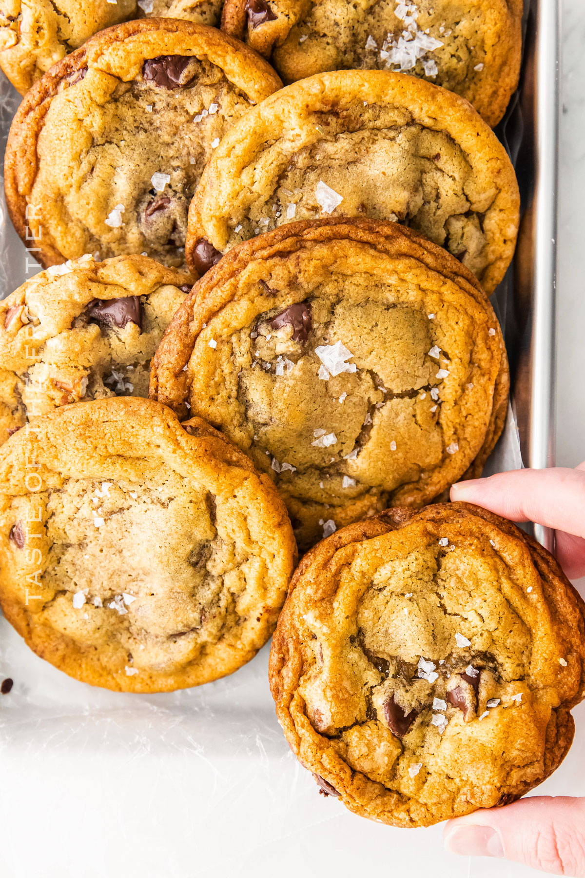 Pretzel Chocolate Chip Cookie Recipe