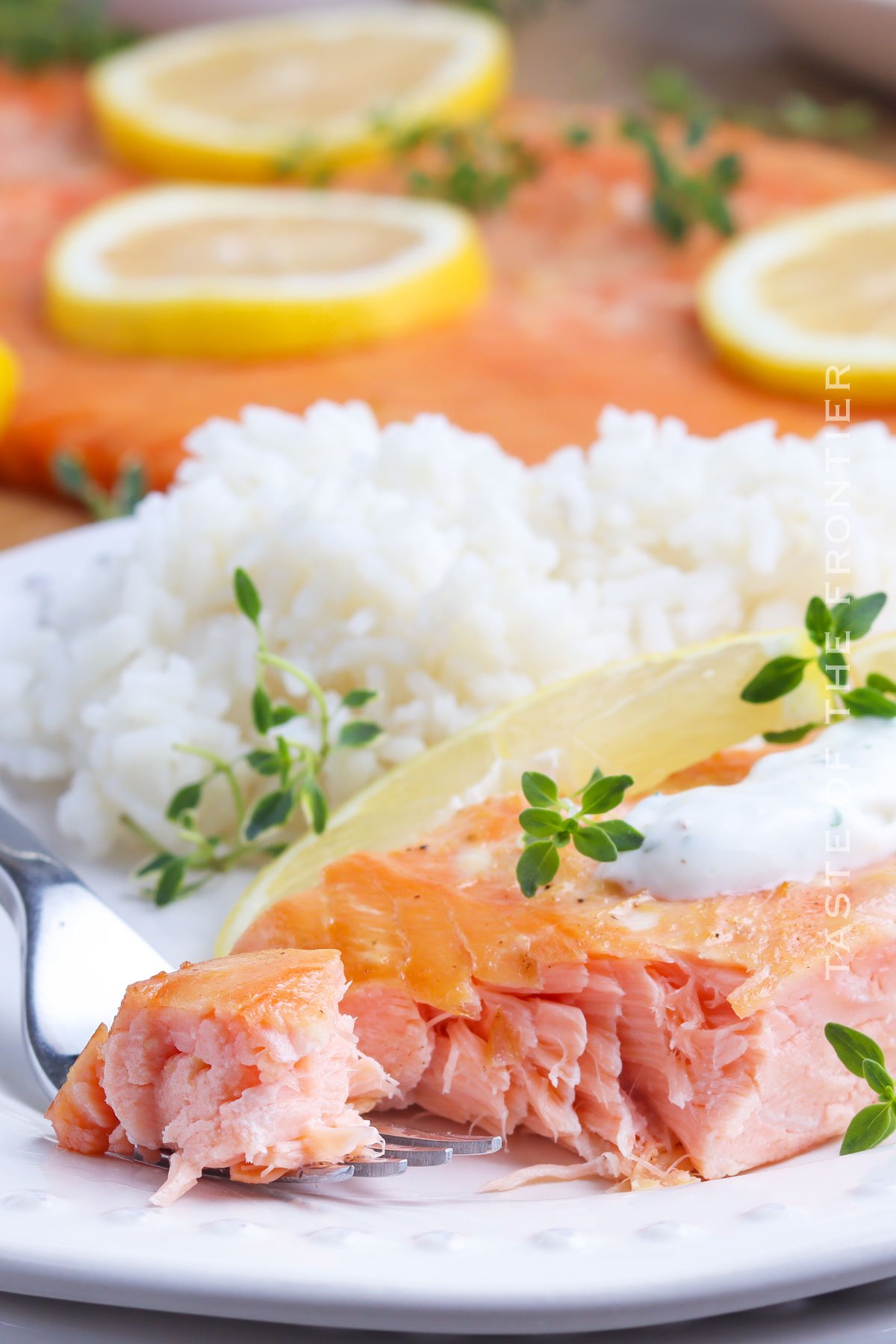 Traeger Salmon Fillet