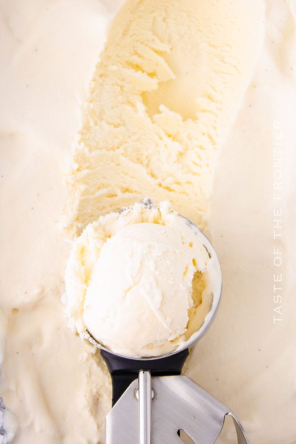 Vanilla Bean Ice Cream