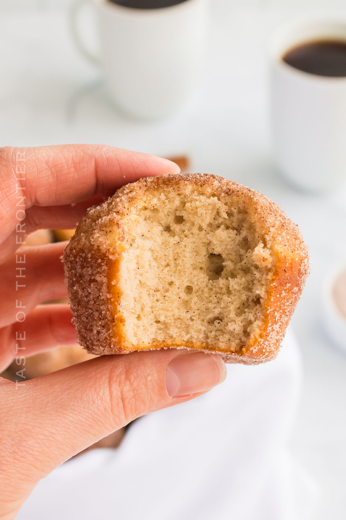 Cinnamon Sugar Muffins