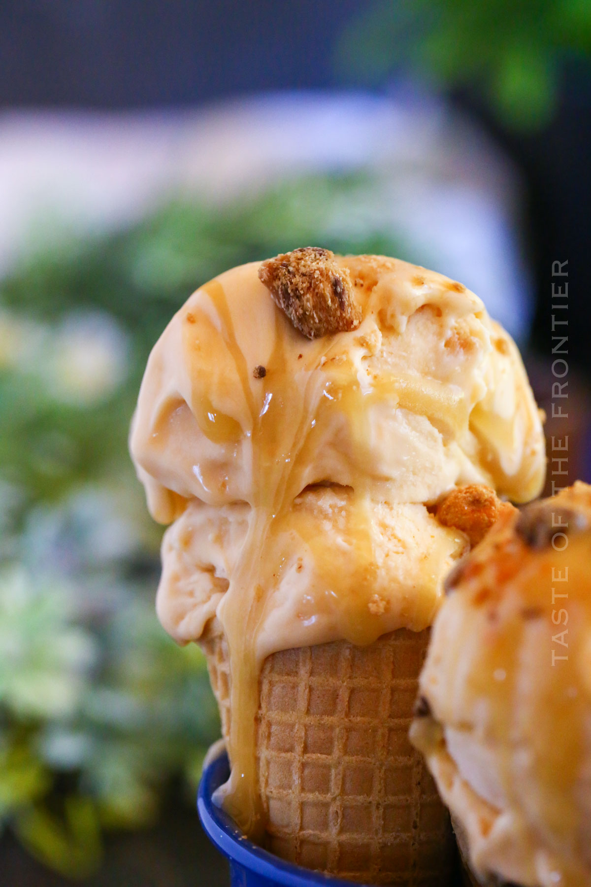 Butterscotch Ice Cream