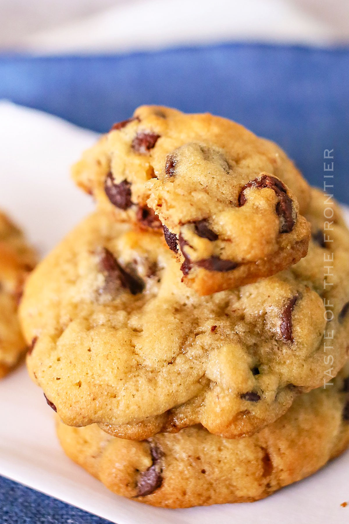 Chocolate Chip Pecan Cookies