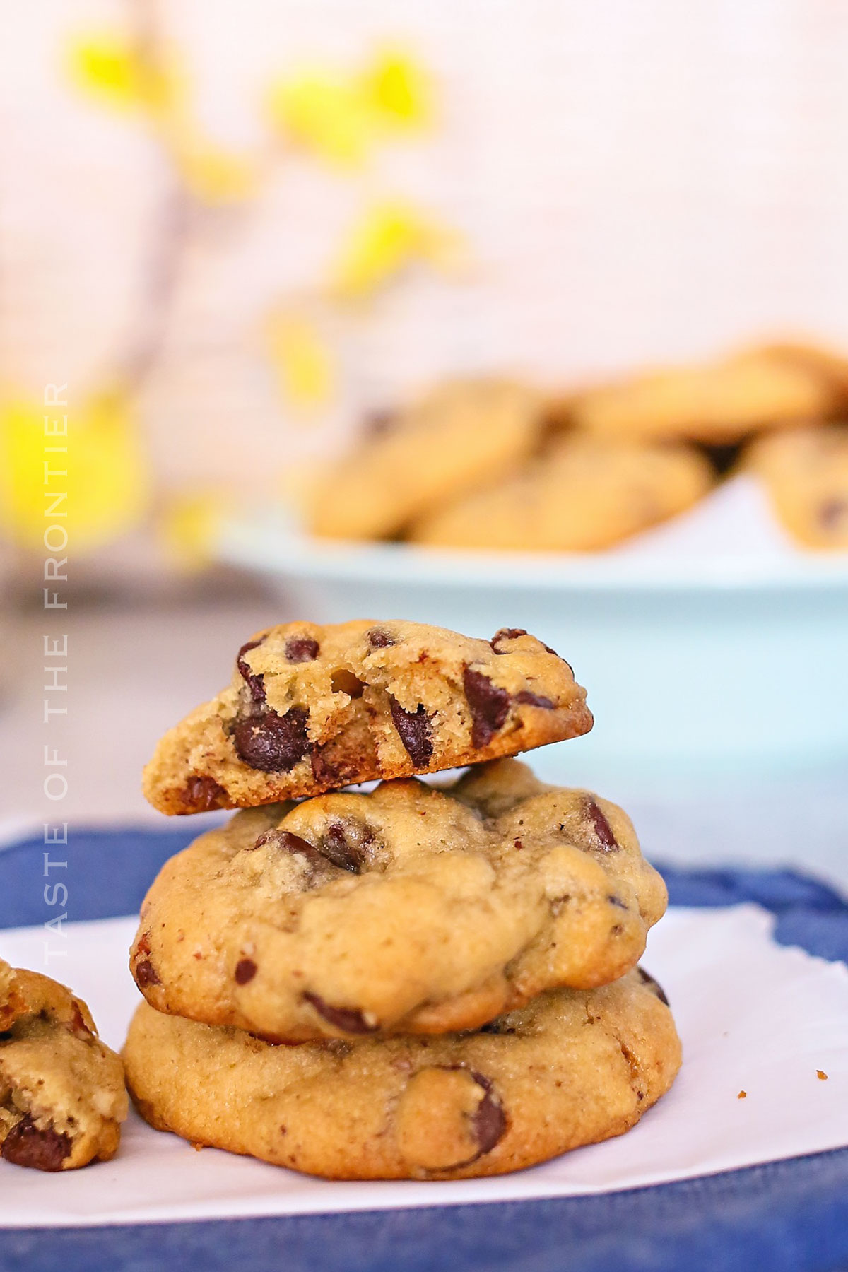 Best Chocolate Pecan Cookies