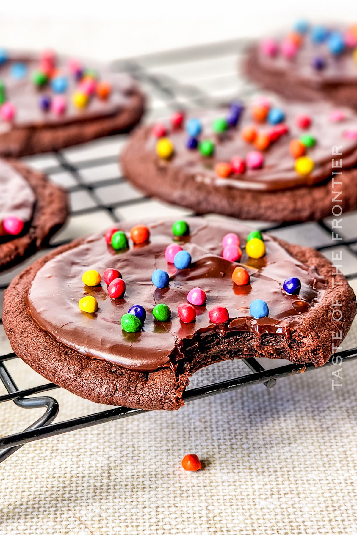 bite of a chocolate cookie