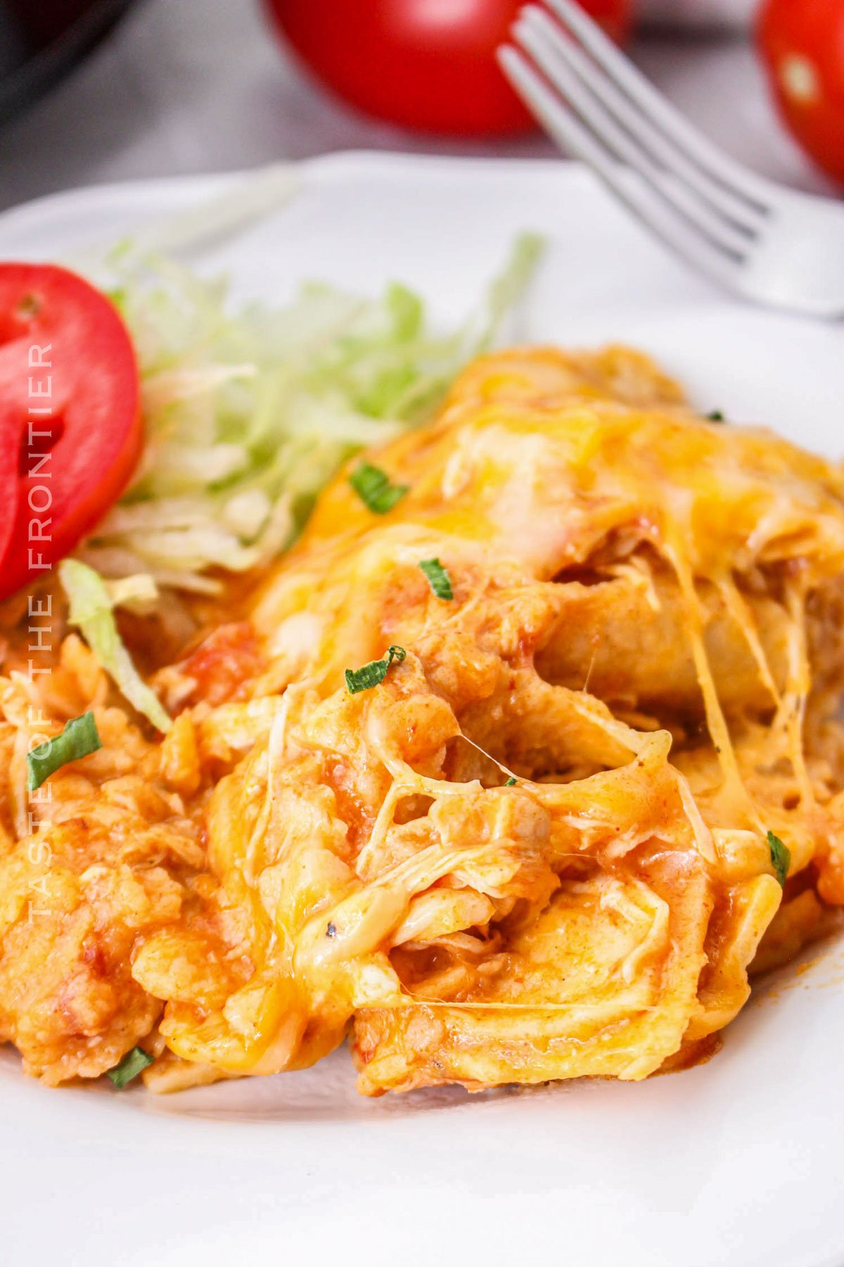 Crockpot Chicken Enchilada Casserole